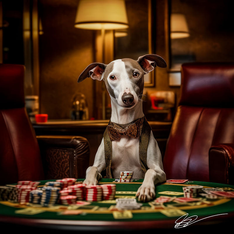 A Dog's Life