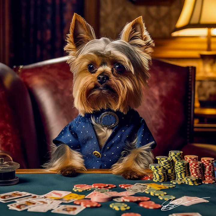 Dapper Doggy Dealers
