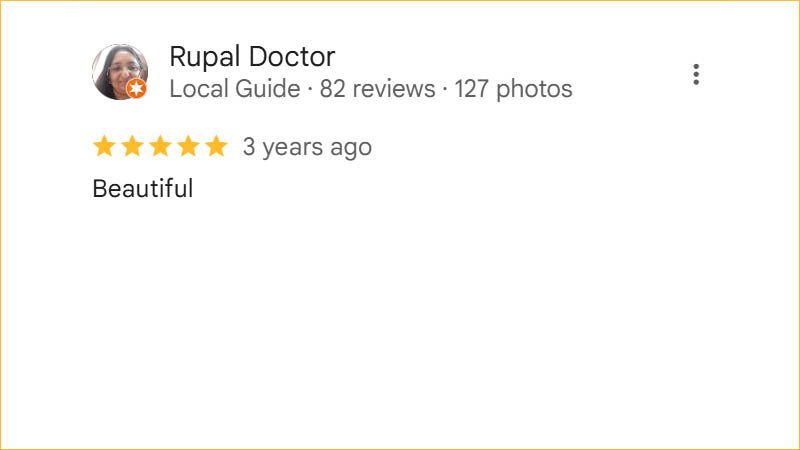 Rupal Doctor 5-star Regis Galerie review calling the gallery beautiful in The Venetian, Las Vegas.