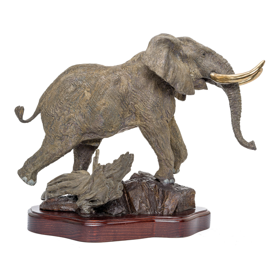 "Noble Ruler" limited edition bronze sculpture of a grey elephant by Ghiglieri