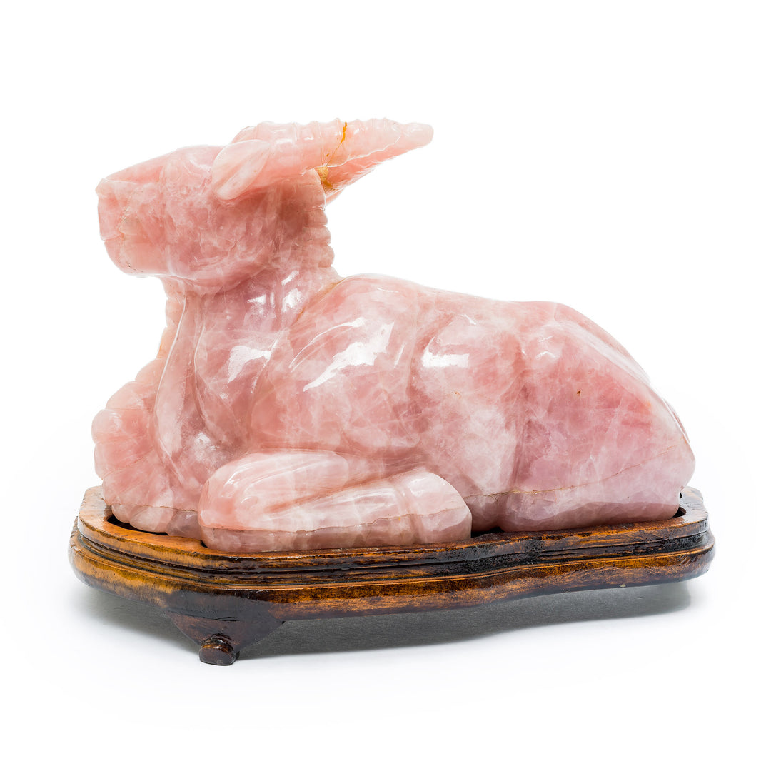 Peaceful rose quartz buffalo figurine with horns