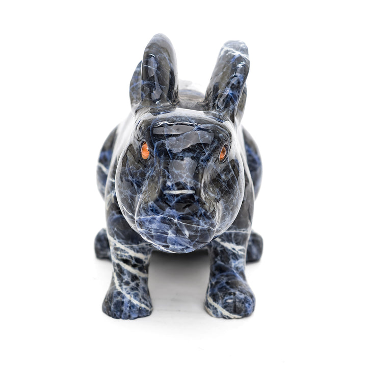 Beautiful sodalite animal sculpture