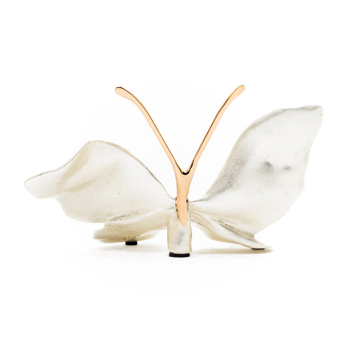 Rear view of Ruiz butterfly with matte white wings