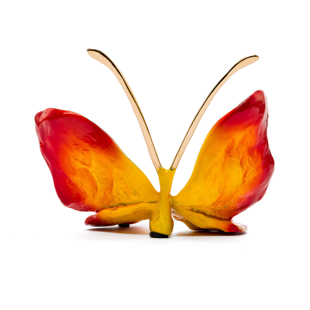 Front angle of bronze butterfly showing flame gradient