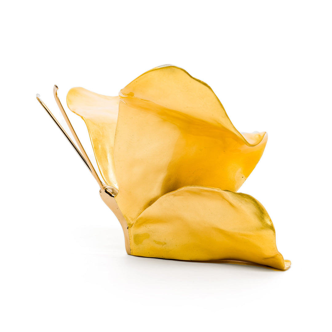 Glossy gold bronze butterfly with elegant form