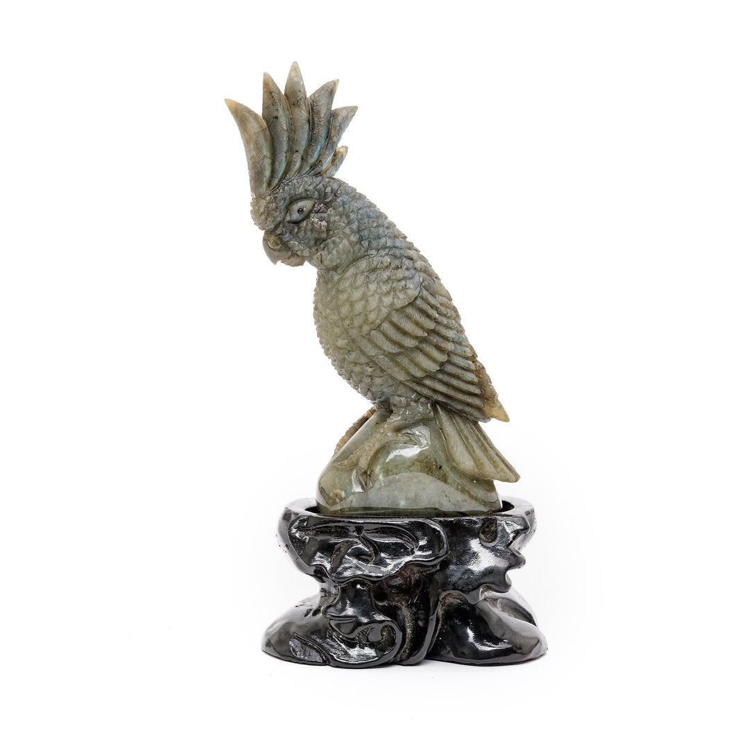 Hand carved labradorite parrot sculpture with feather details