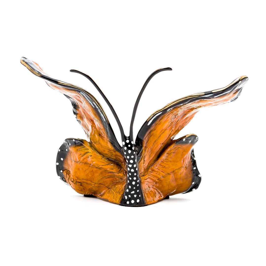 Rear view of monarch bronze butterfly showing bold colors