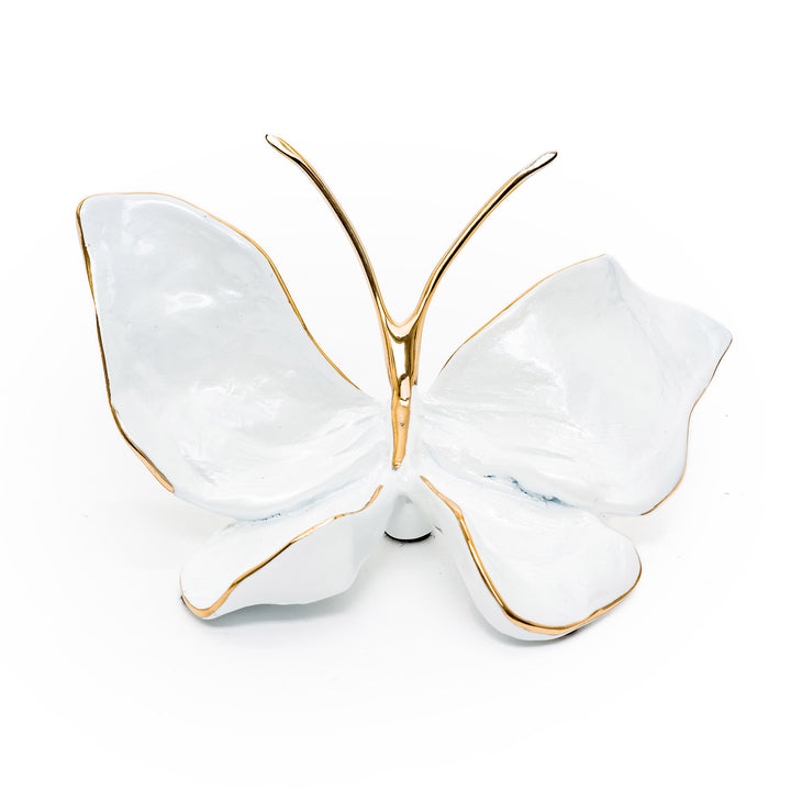 Front view of pearl white bronze butterfly with gold accents