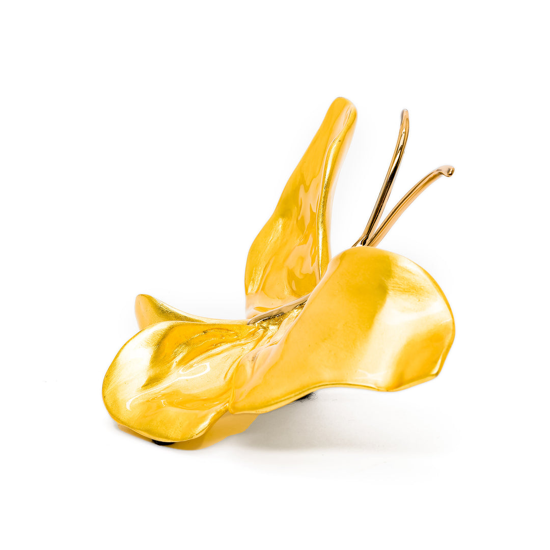 Side view of Little Emperor Gold with shining wings