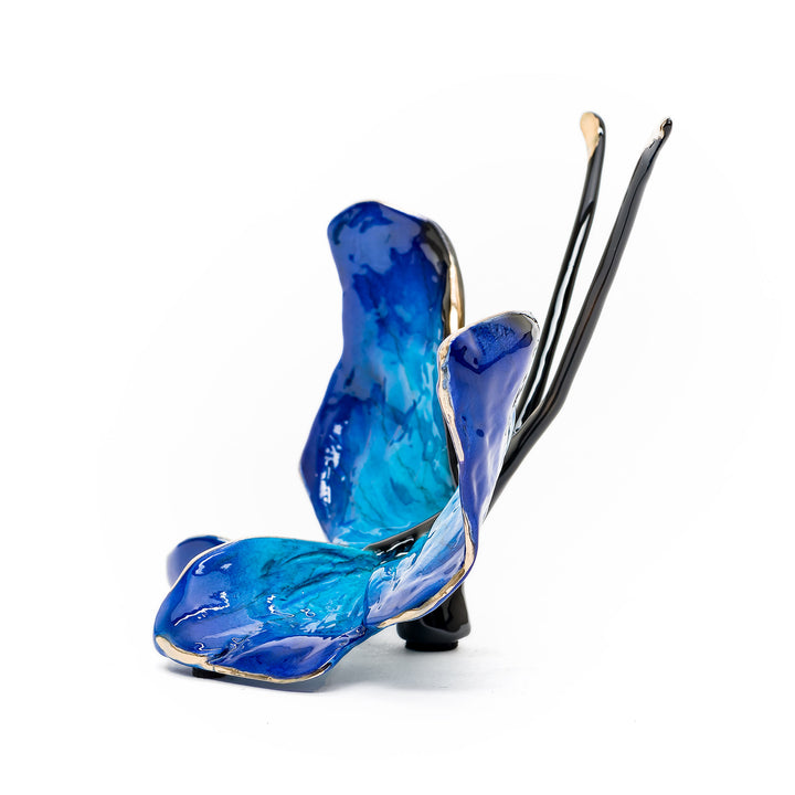 Side view of small blue butterfly with black body