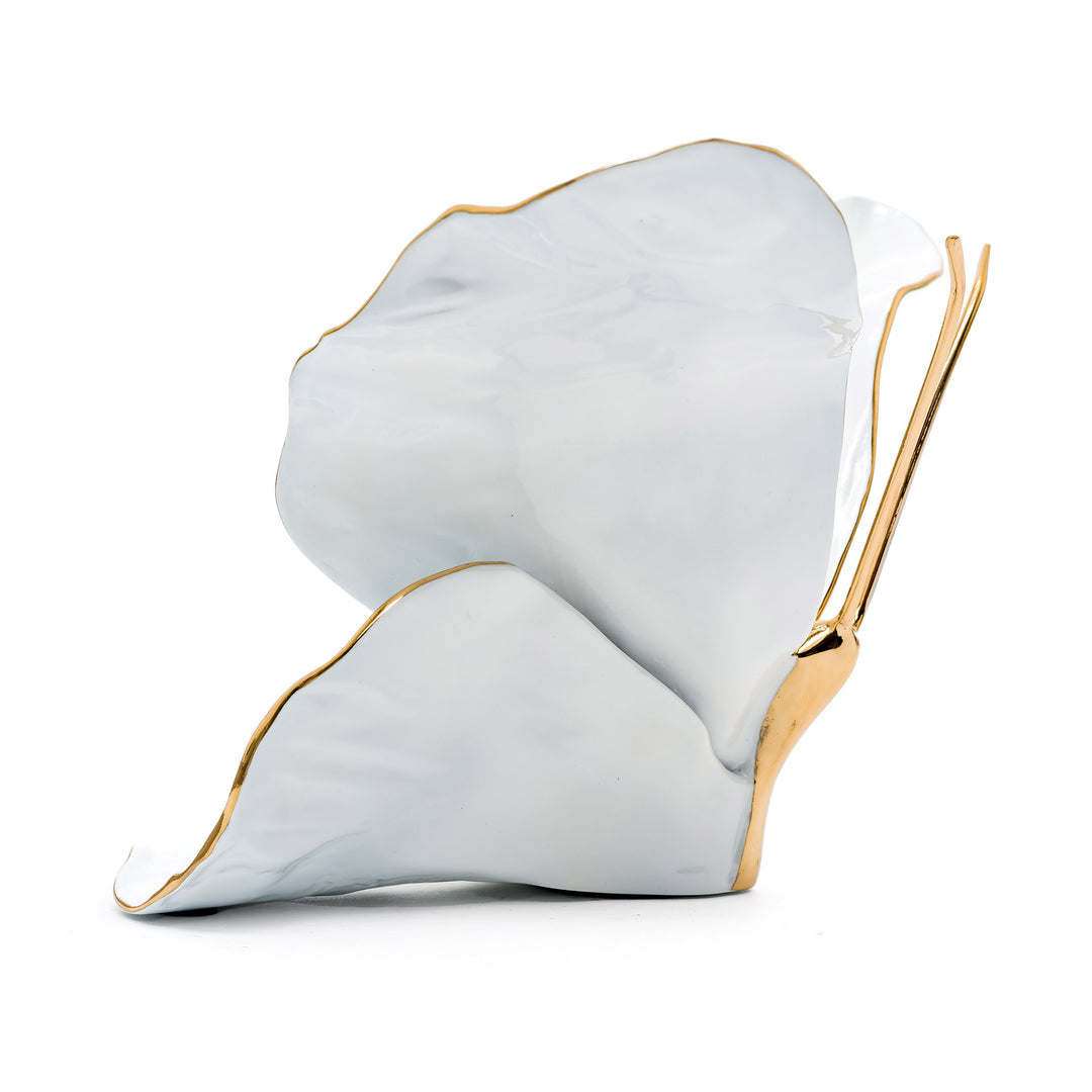 Side view of white bronze butterfly with metallic edges