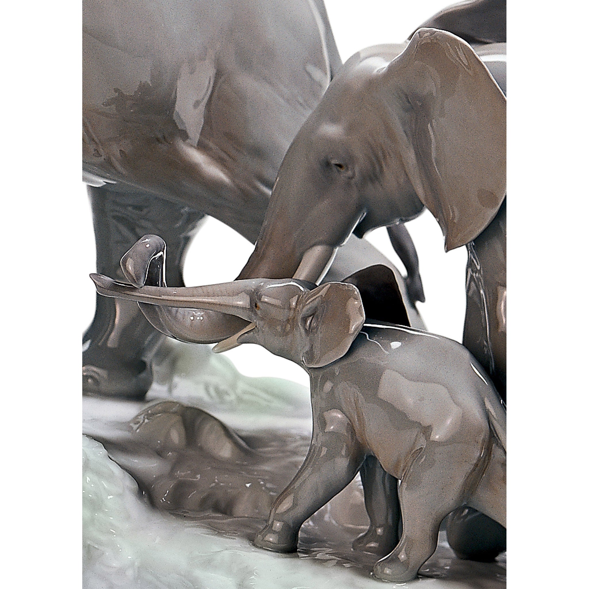 ELEPHANT 2冊 Water for Elephants Sara Gruen 18