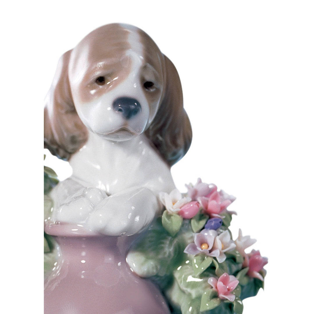 Image 2 Lladro Take Me Home Dog Figurine - 01006574
