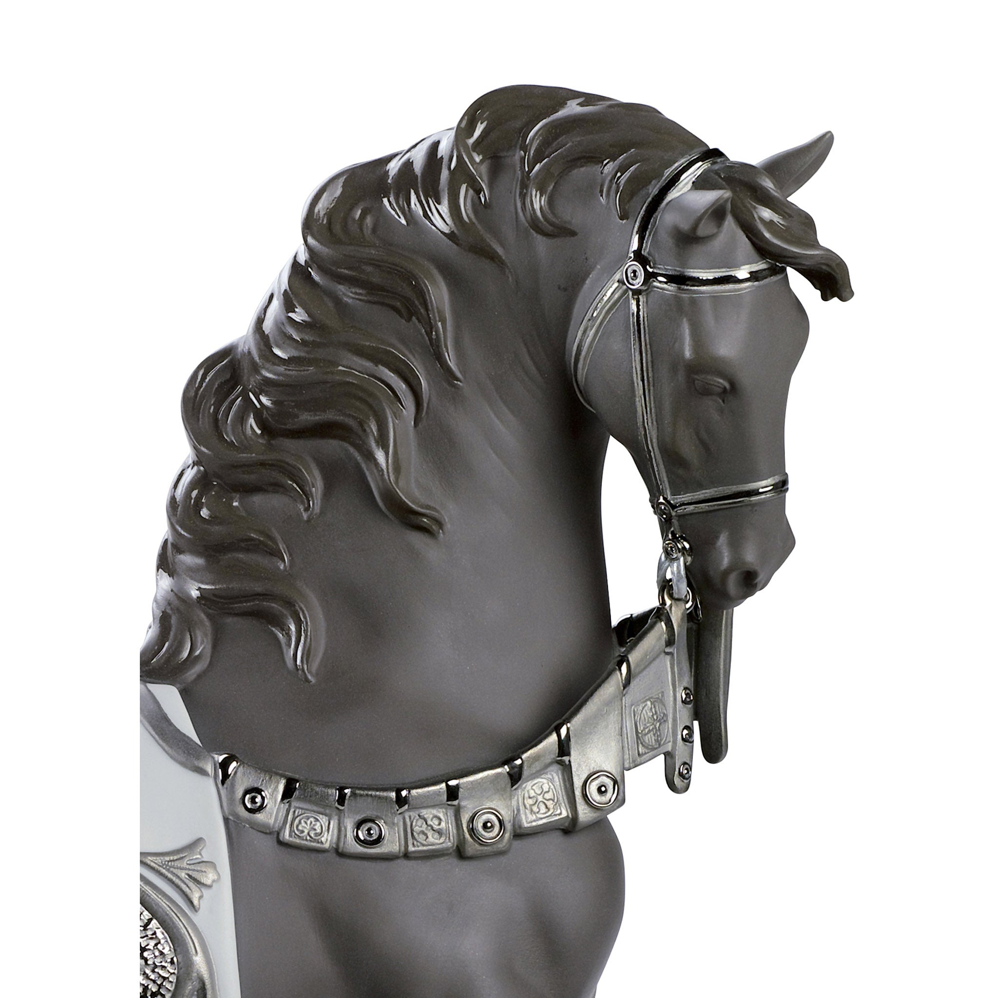 レアREGAL 2021 year model Horse Leather Leather Lariat Hybrid Halter® – The Horse Education Company