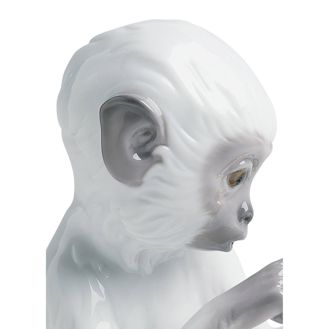 Image 4 Lladro Curiosity Monkey on Turquoise Rock Figurine - 01007238