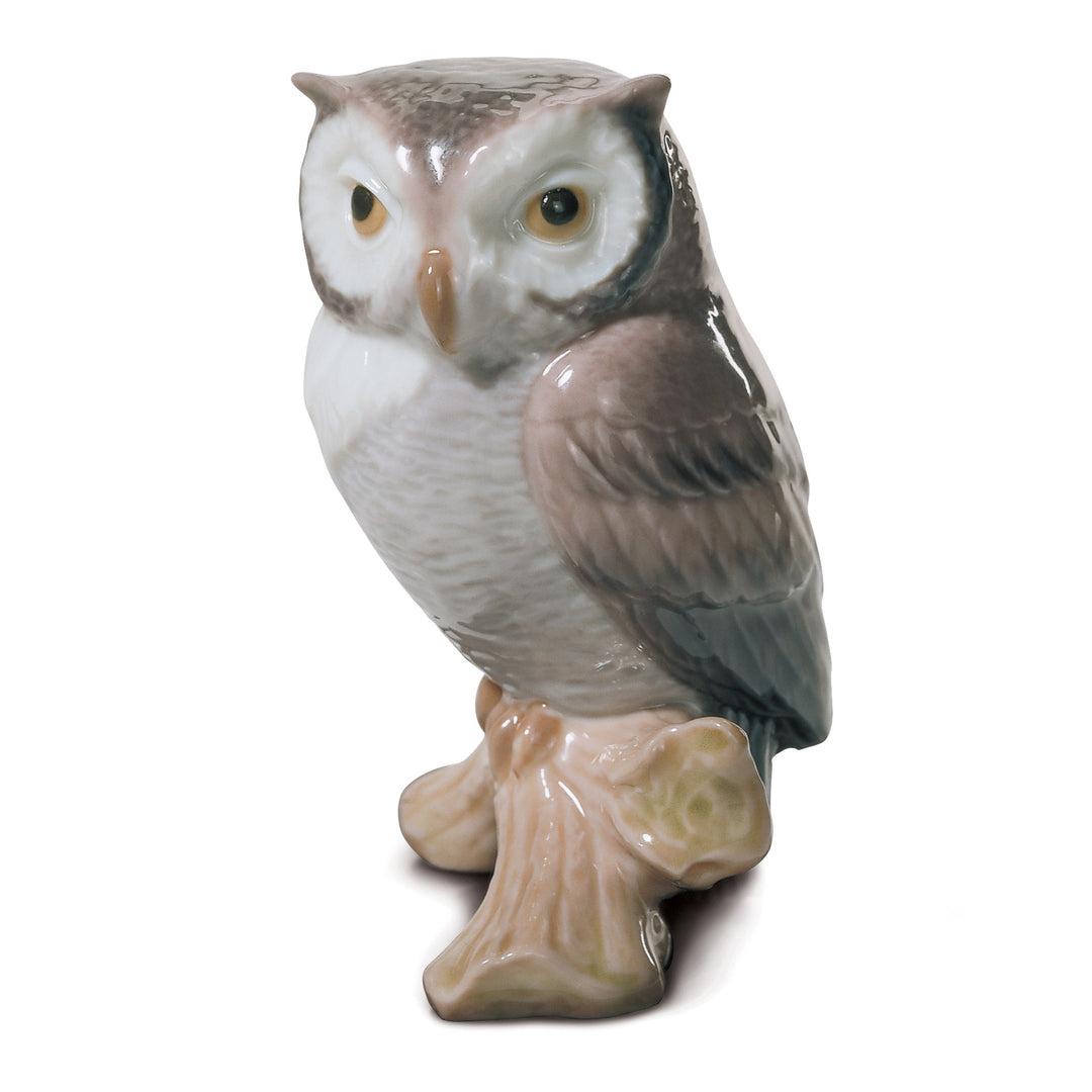 Image 2 Lladro Lucky Owl Figurine - 01008035