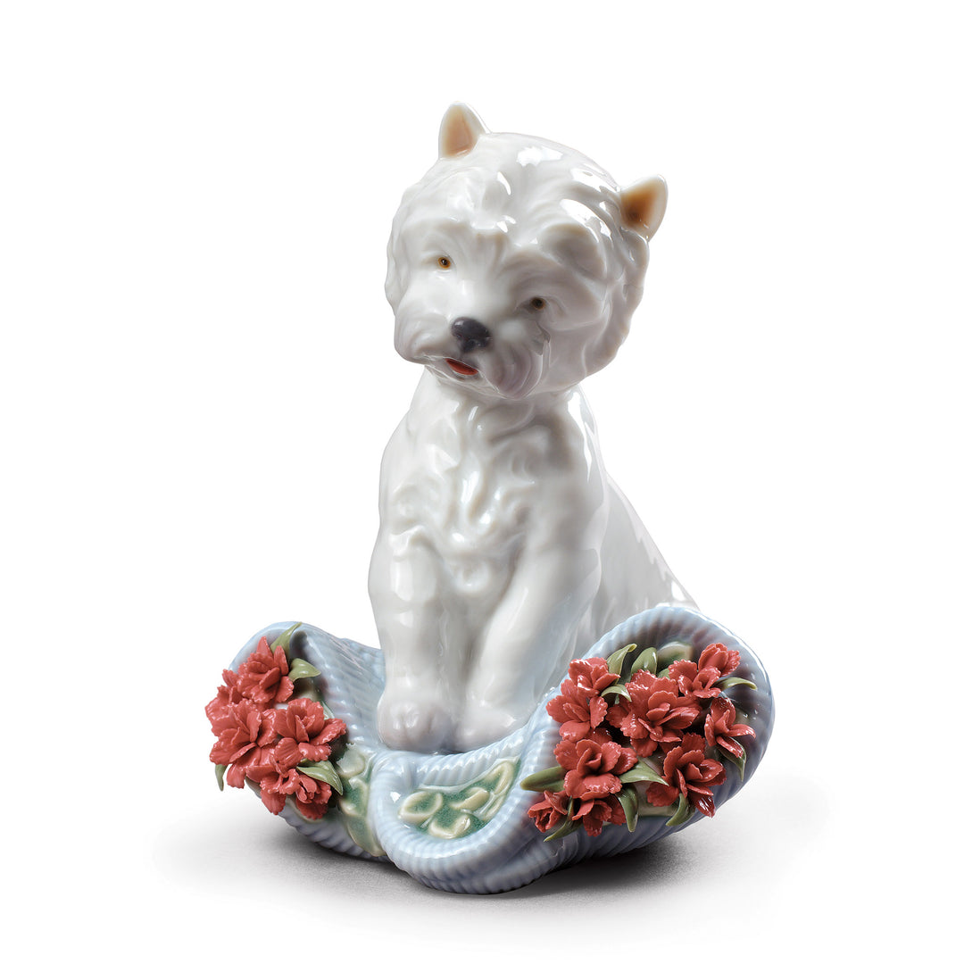 Lladro Playful Character Dog Figurine Type 164 - 01008065