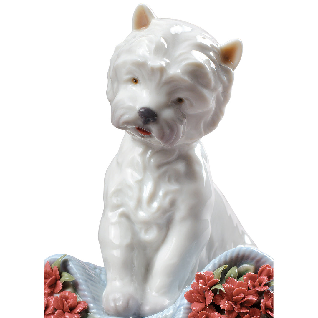 Image 2 Lladro Playful Character Dog Figurine Type 164 - 01008065