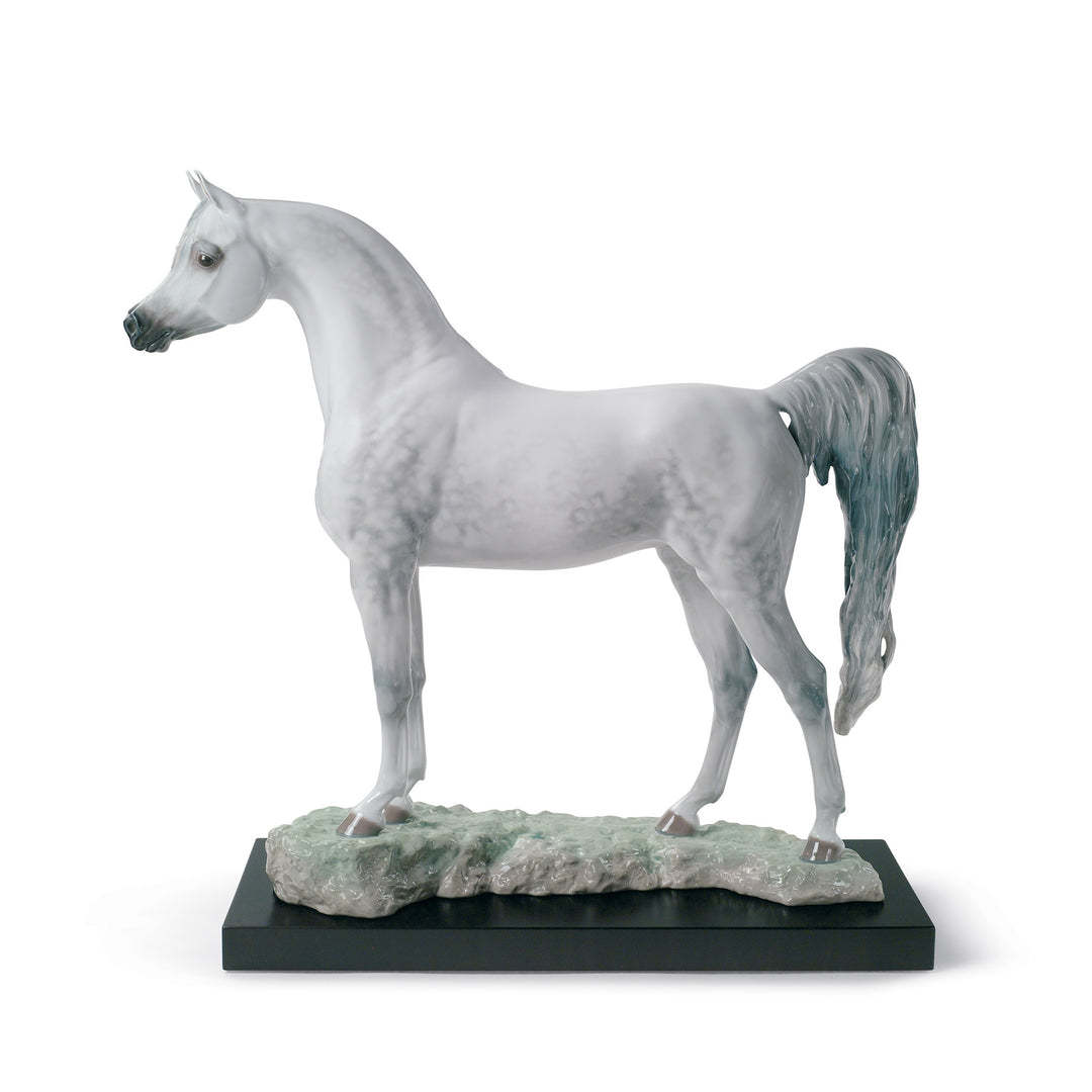Lladro Arabian Pure Breed Horse Figurine. Limited Edition - 01008343