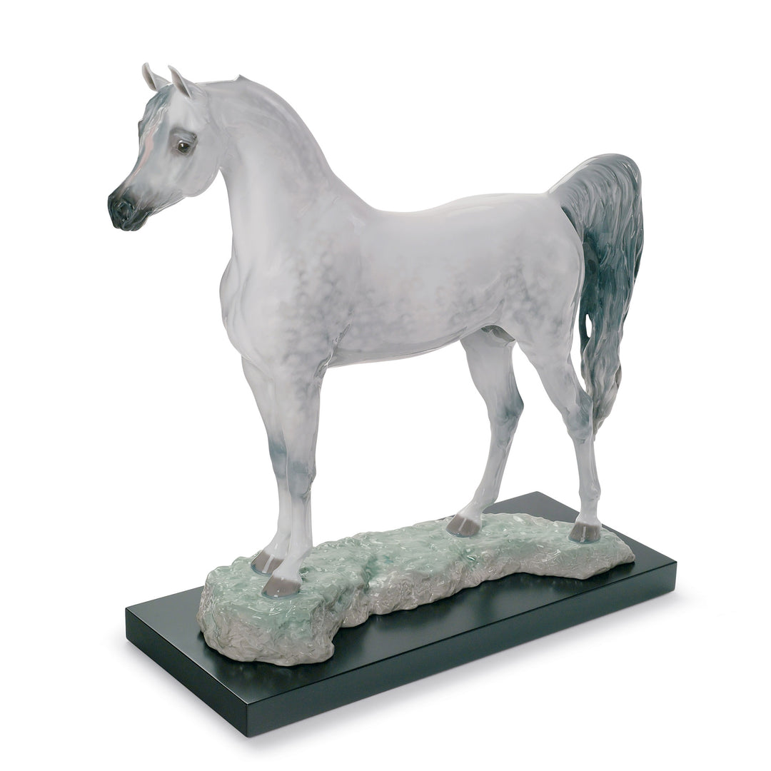 Image 2 Lladro Arabian Pure Breed Horse Figurine. Limited Edition - 01008343