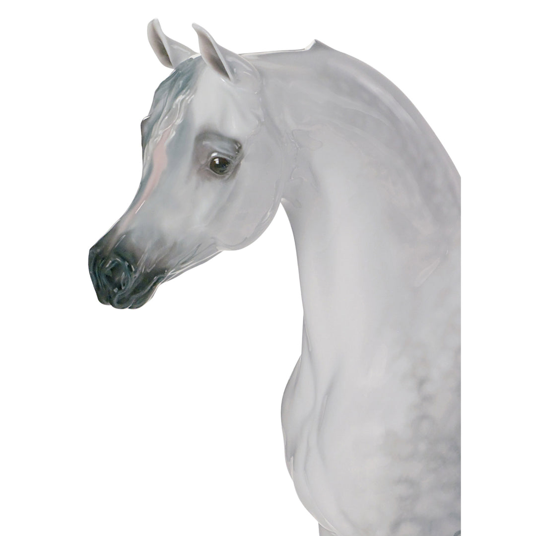 Image 3 Lladro Arabian Pure Breed Horse Figurine. Limited Edition - 01008343