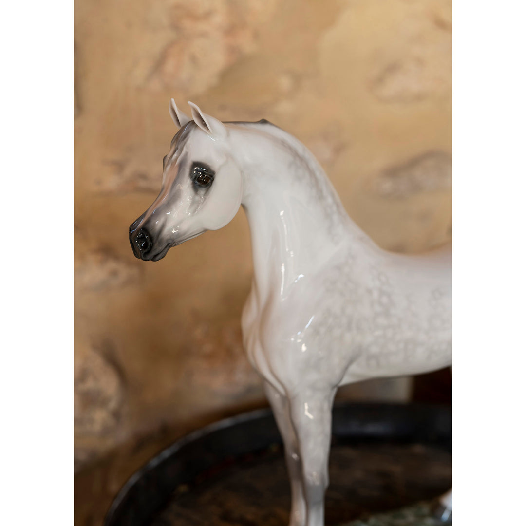 Image 5 Lladro Arabian Pure Breed Horse Figurine. Limited Edition - 01008343