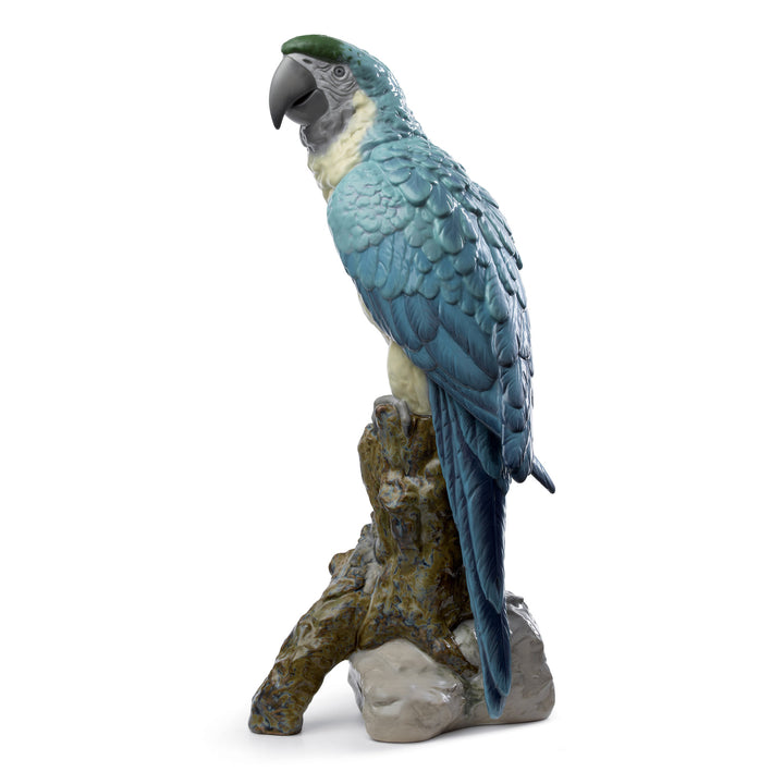 Image 2 Lladro Macaw Bird Sculpture - 01008388