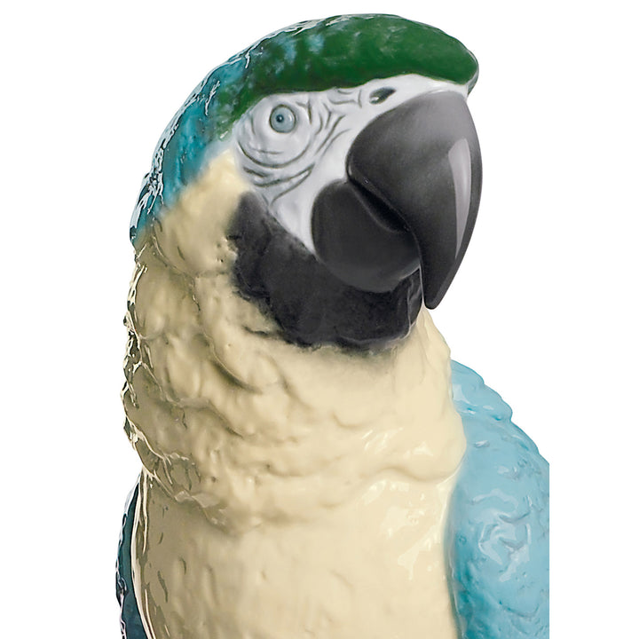 Image 3 Lladro Macaw Bird Sculpture - 01008388