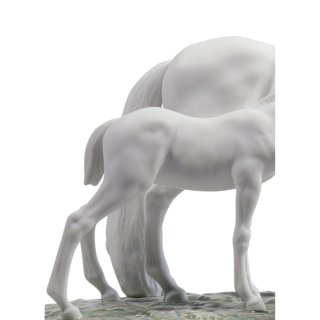 Image 5 Lladro Horses in The Meadow Sculpture - 01008699