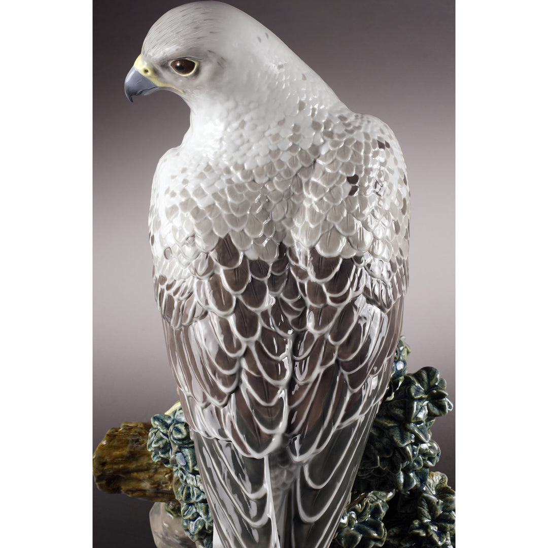 Image 2 Lladro Gyrfalcon Sculpture. Limited Edition - 01008722