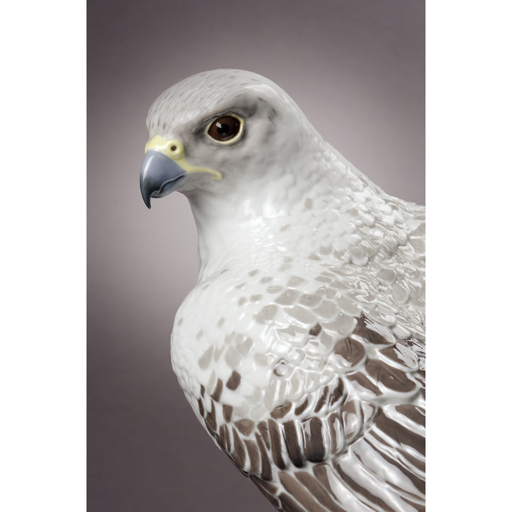 Image 3 Lladro Gyrfalcon Sculpture. Limited Edition - 01008722
