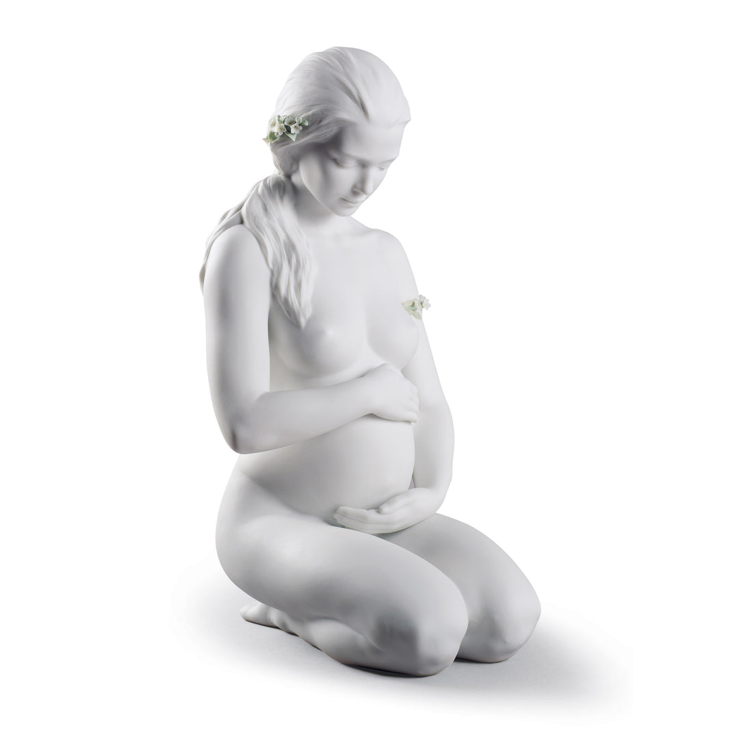 Lladro A New Life Mother Figurine - 01008753