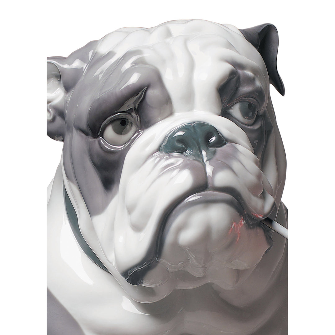Image 4 Lladro Bulldog with Lollipop Dog Figurine - 01009234