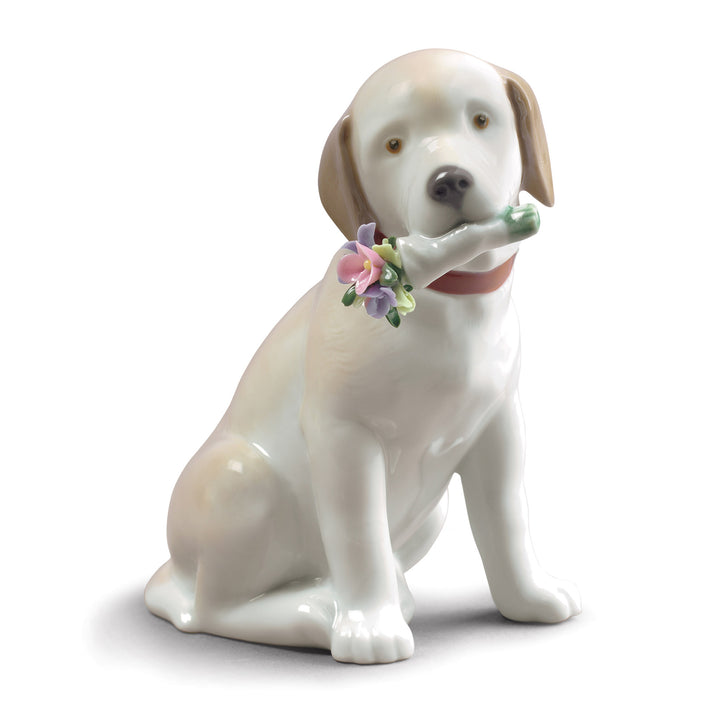 Lladro This Bouquet Is for You Dog Figurine - 01009256