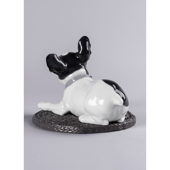 Image 4 Lladro French Bulldog with Macarons Dog Figurine - 01009398