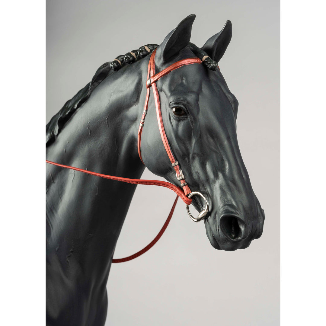 Image 4 Lladro English Purebred Horse Sculpture - 01009469