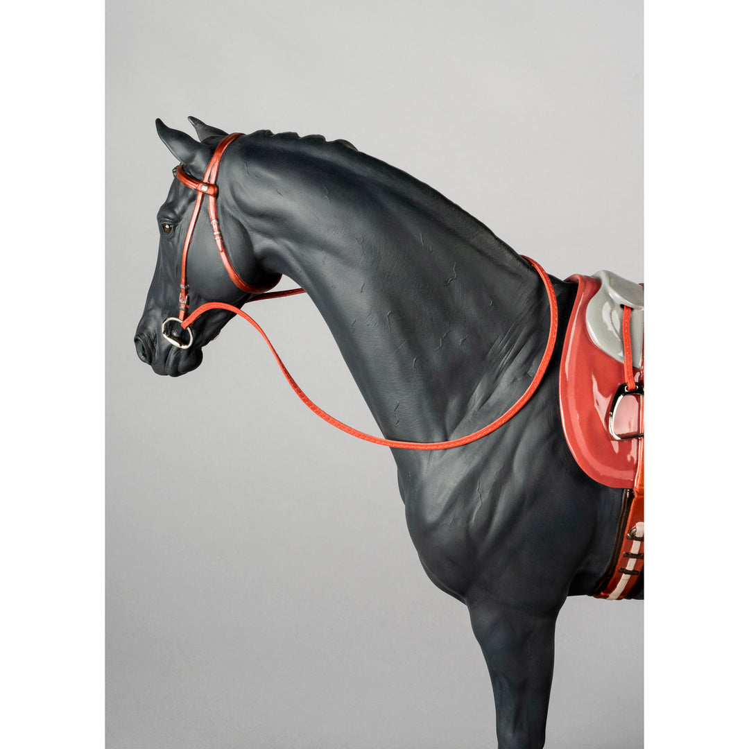 Image 7 Lladro English Purebred Horse Sculpture - 01009469