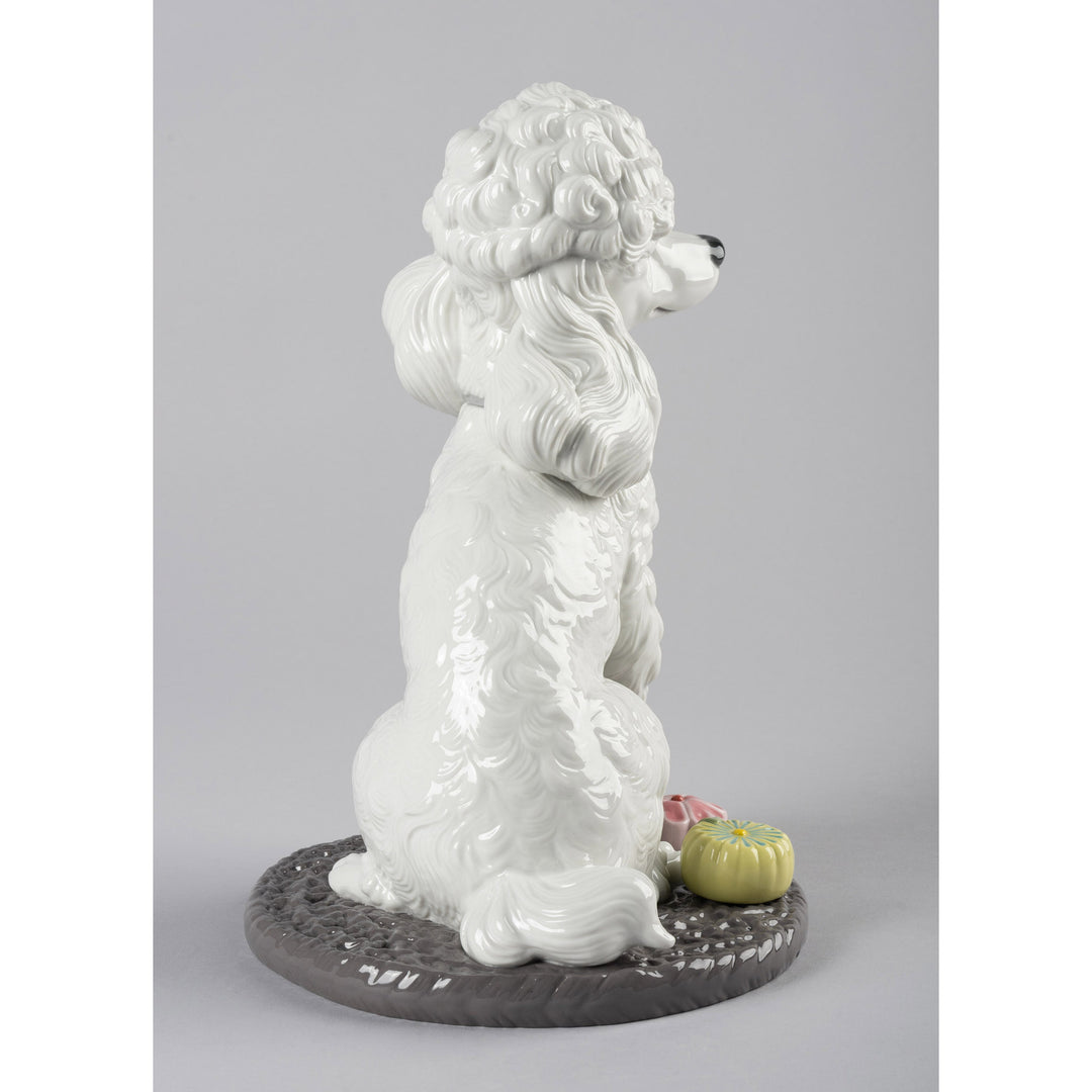 Image 7 Lladro Poodle with Mochis Dog Figurine - 01009472