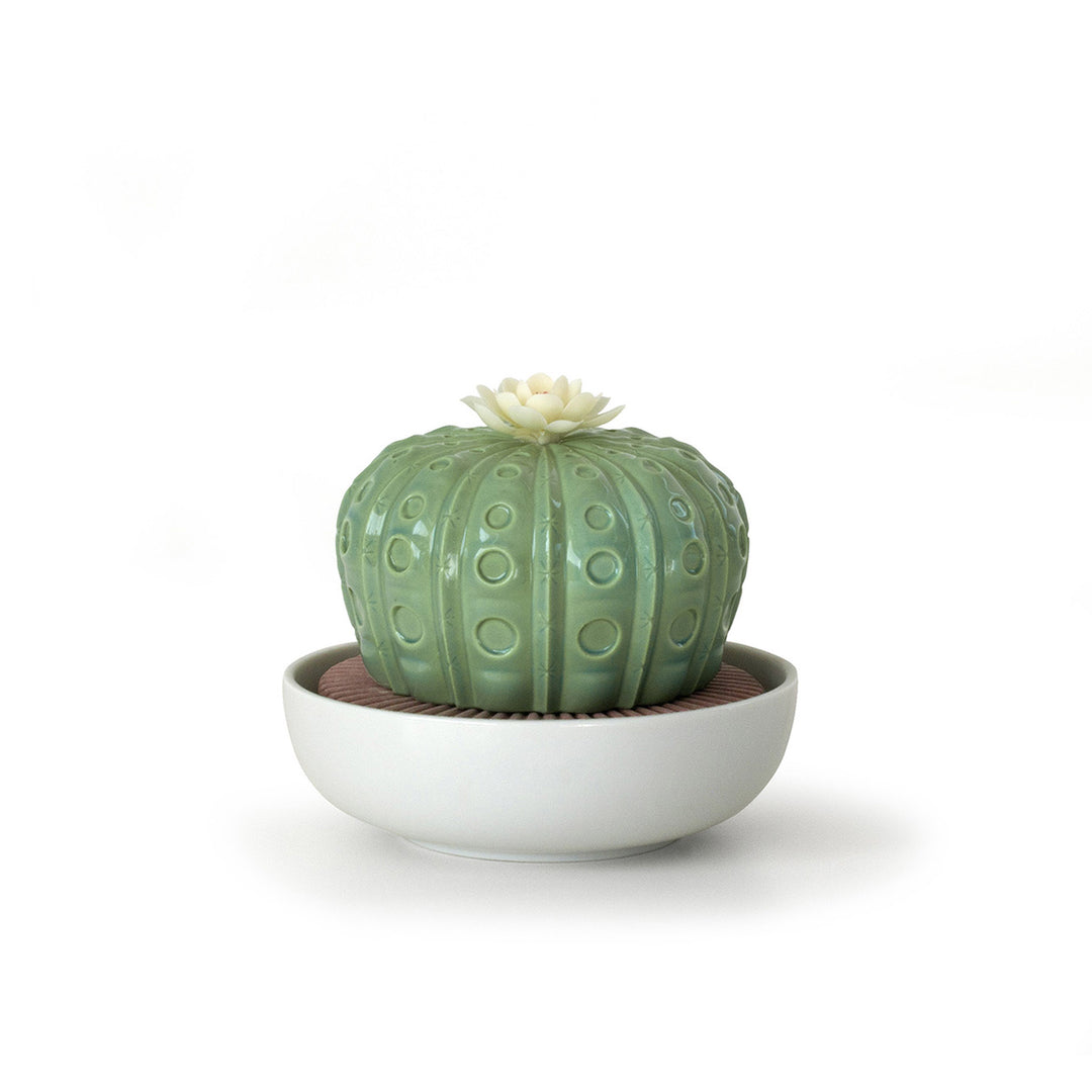 Lladro Astrophytum Cactus Diffuser. Tropical Blossoms Scent - 01040190