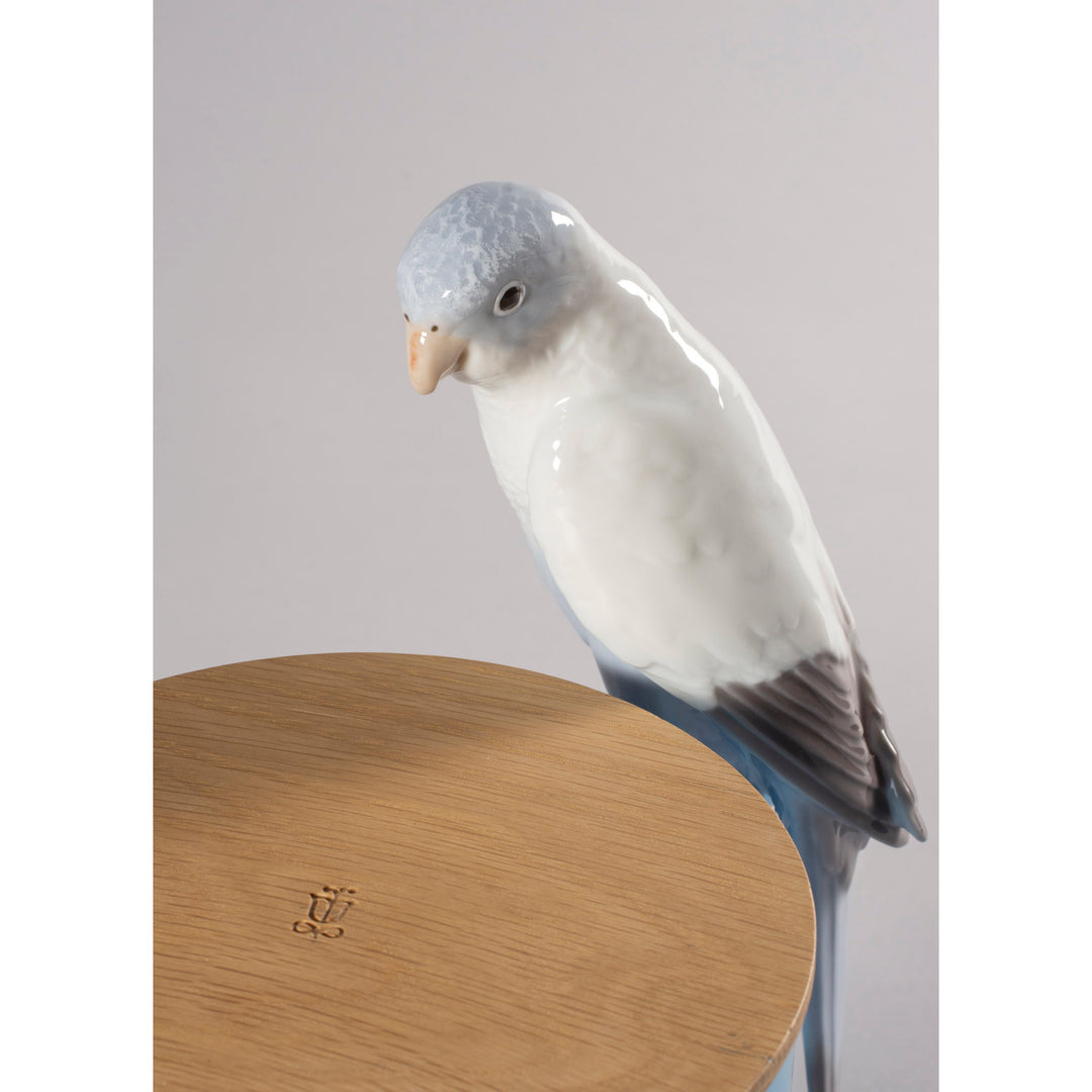 Image 4 Lladro Parrot's Scented Treasure. On the prairie Scent. Blue - 01040193