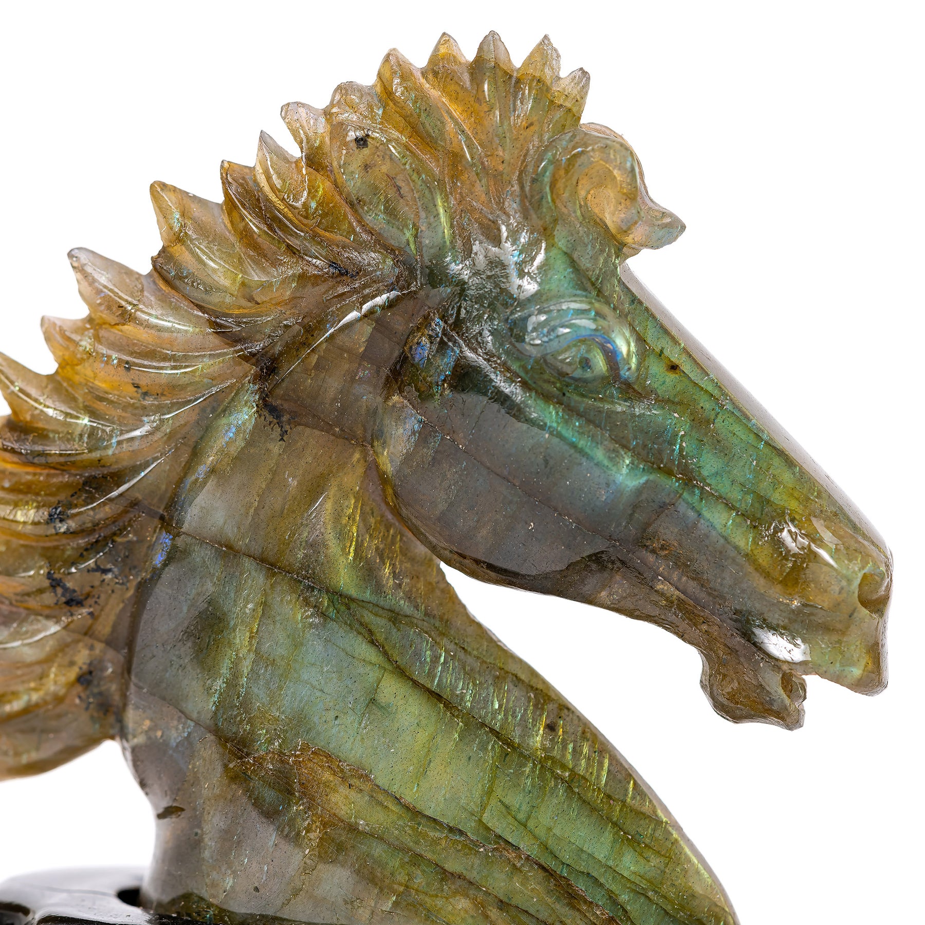 Discover the Allure of Labradorite with Our Hand-Carved Stallion Bust ...