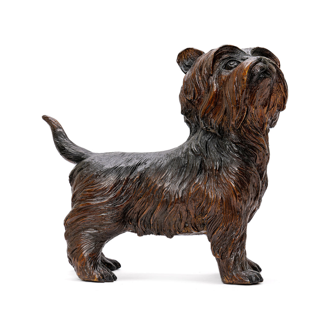 Bronze statue of a standing Yorkie Terrier with detailed fur texture