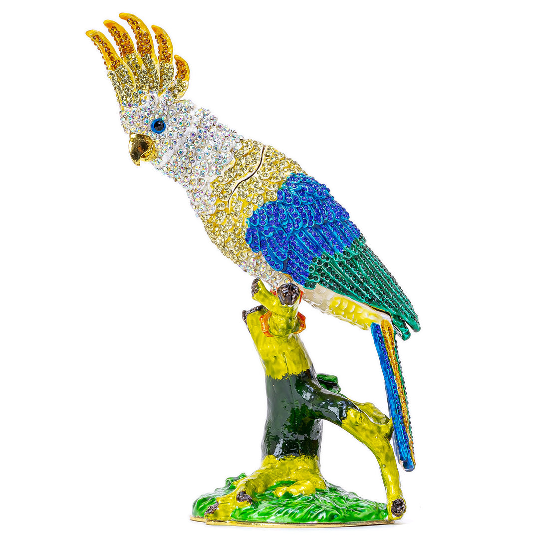 Macaw Jewelry Box