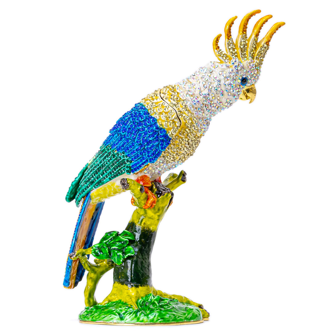 Macaw Jewelry Box