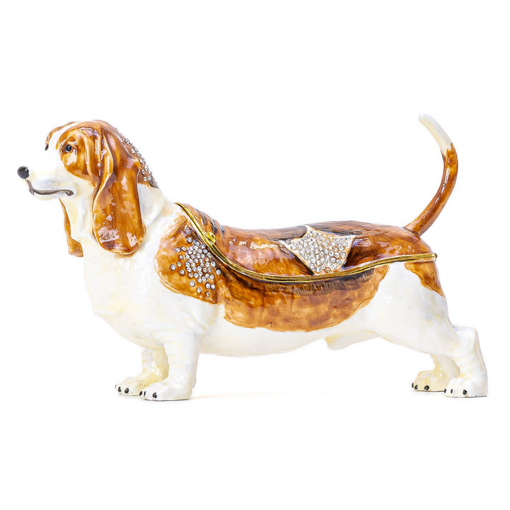 Bassett Hound Box