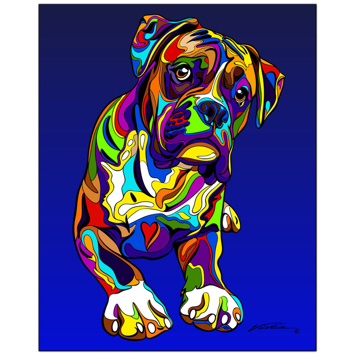 Boxer #1 on Metal from The Colorful World of Michael Vistia Image #1