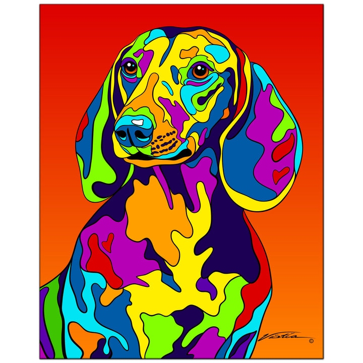Dachshund #2 on Metal from The Colorful World of Michael Vistia Image #1