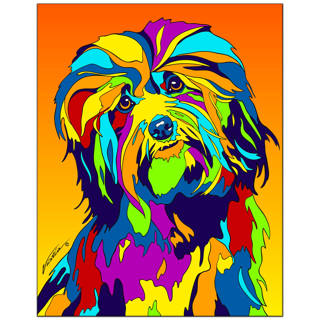 Havanese on Metal from The Colorful World of Michael Vistia Image #1