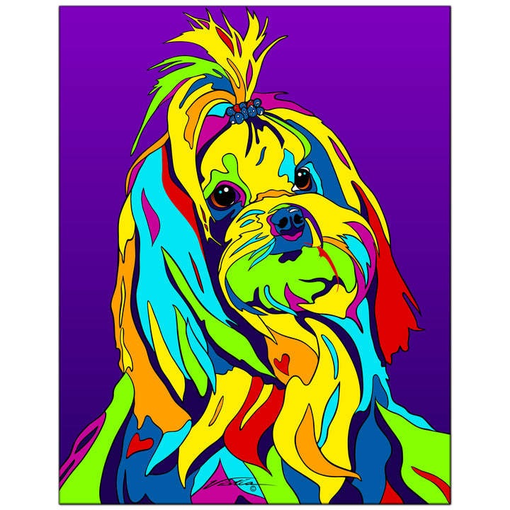 Maltese #2 on Metal from The Colorful World of Michael Vistia Image #1