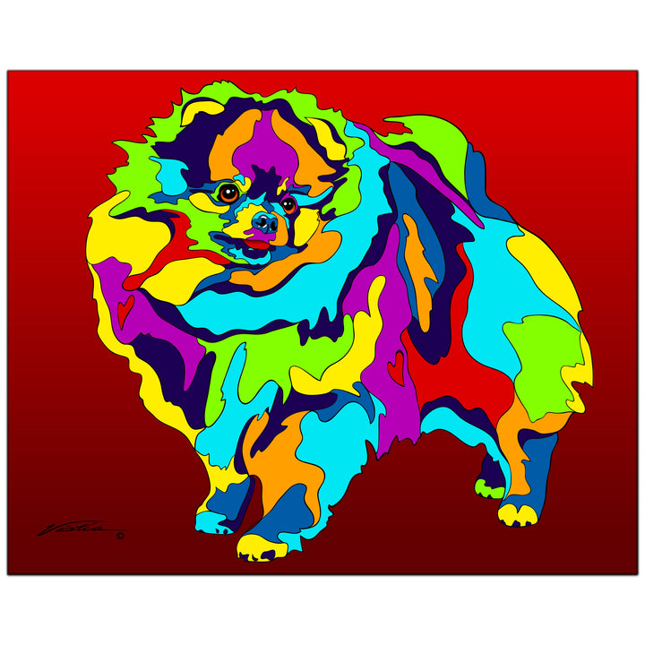 Pomeranian #1 on Metal from The Colorful World of Michael Vistia Image #1